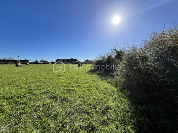 Terrain de 9 100 m²