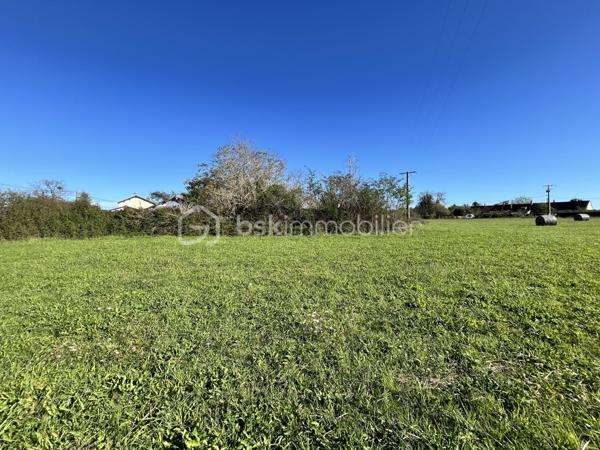 Terrain de 9 100 m²