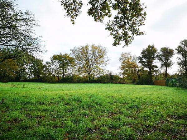 TERRAIN 1590M2 VIABILISE