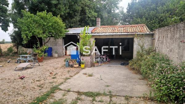 Environnement calme et verdoyant