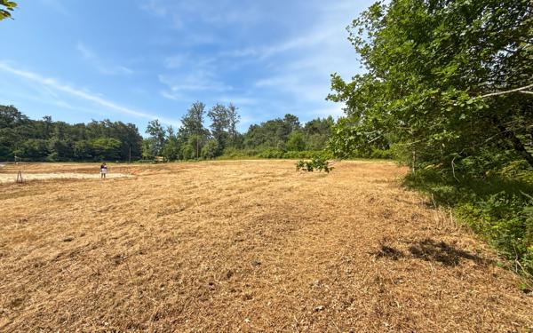Terrain à vendre