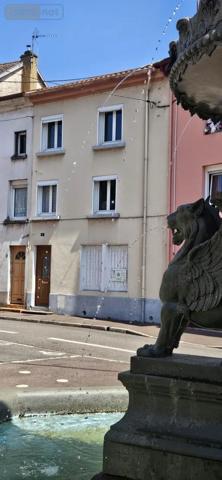 Achat - Maison Raon-l'Étape 88110 119 m 2 100 m 2