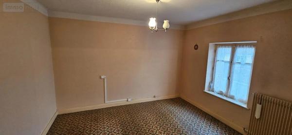 Achat - Maison Raon-l'Étape 88110 119 m 2 100 m 2