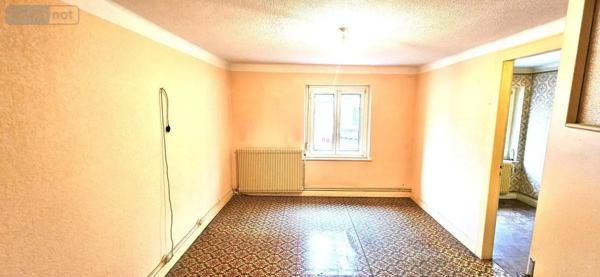 Achat - Maison Raon-l'Étape 88110 119 m 2 100 m 2