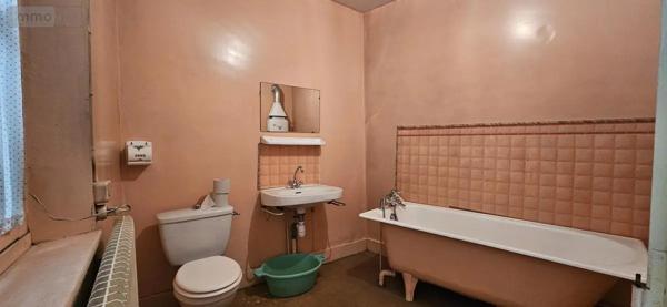 Achat - Maison Raon-l'Étape 88110 119 m 2 100 m 2