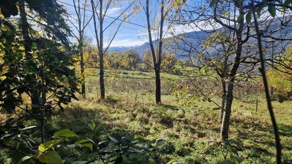 Maison de caractère au calme avec 2,7ha de terrain Foix