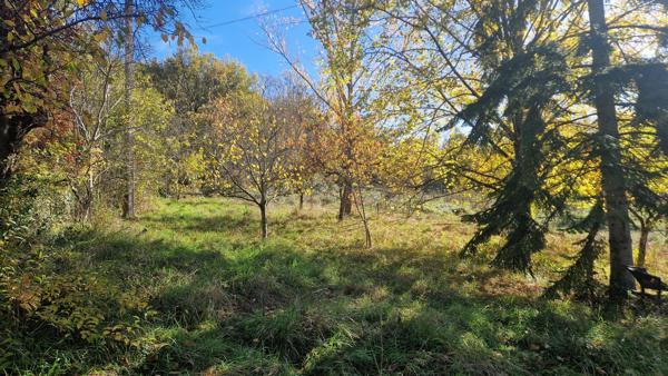 Maison de caractère au calme avec 2,7ha de terrain Foix