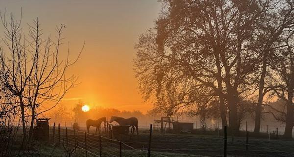 Maison ancienne Saint-Geours-de-Maremne 140 m²
