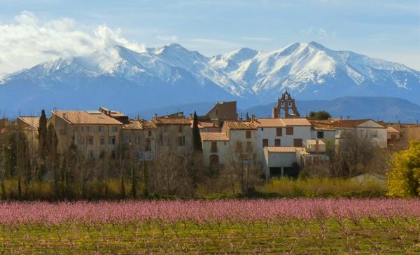 Demeure de charme 230m² avec 66m² de terrasse