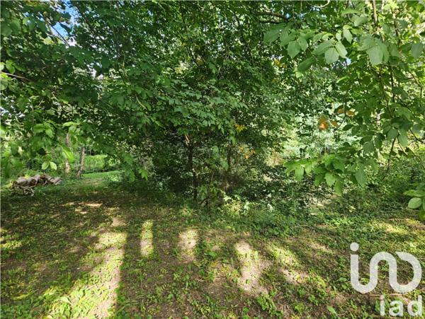 Terrain à vendre 