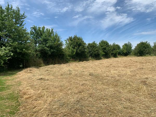 Terrain de 22 350m²