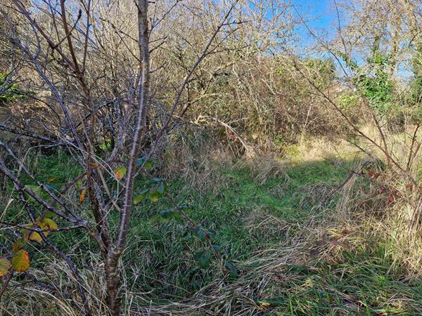 À Yerres, un Terrain de 800 m²