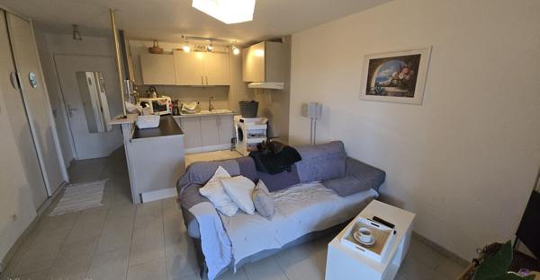Appartement Launaguet t1bis 33.80m2 avec jardin place de parking