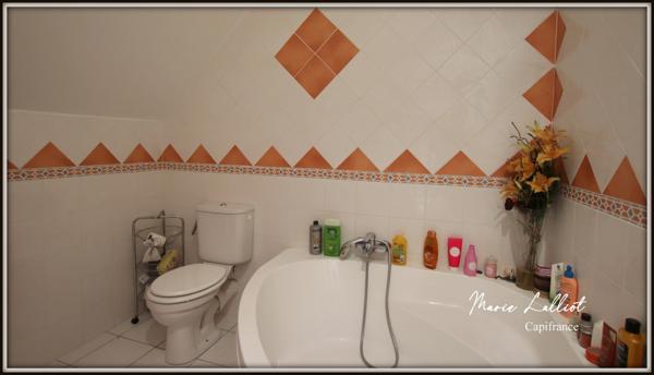 Dpt (45) à vendre, maison 9p, Puiseaux, 178m² env., caves, grange, dépendances, 4 chambres