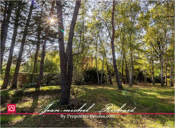 Maison Chatillon Sur Cher 7 pièce(s) 150 m2