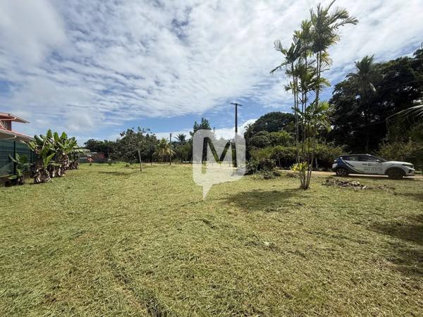 DPT GUYANE, à vendre MATOURY Terrain à construire de 1015 m2