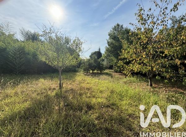 Maison à vendre 6 pièces 202,35 m² Mandelieu-la-Napoule