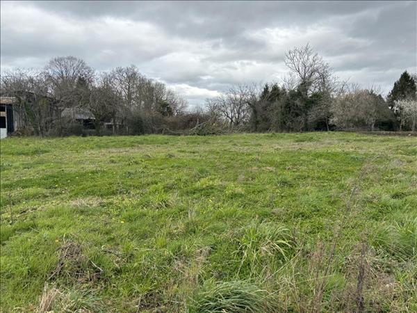 Terrain à vendre |  Limendous |  1176 m²