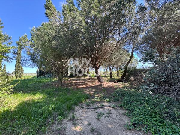 ST CYPRIEN Terrain de loisirs de 28 576 m² à vendre