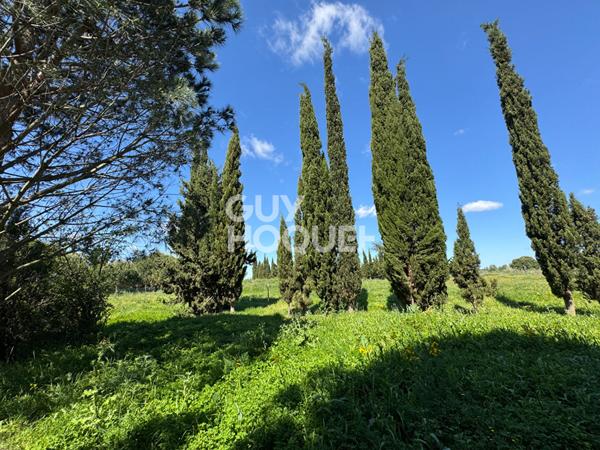 ST CYPRIEN Terrain de loisirs de 28 576 m² à vendre