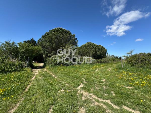 ST CYPRIEN Terrain de loisirs de 28 576 m² à vendre