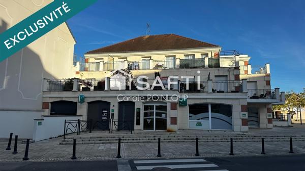 bel appartement lumineux en centre ville