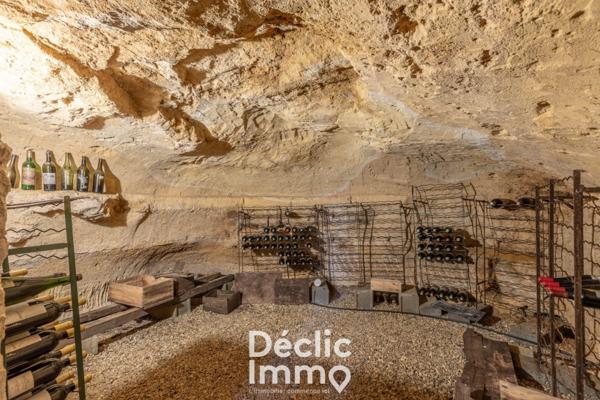 Vente maison Blaye, 484m² 9000m² 17 pièces 745 000€