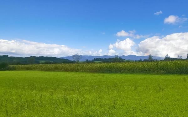 Terrain constructible 11000 m2