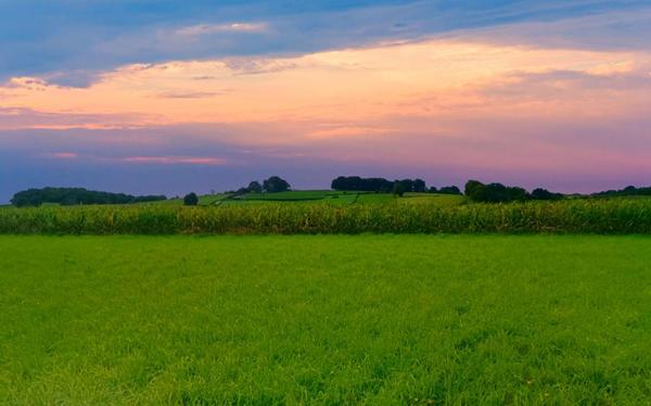 Terrain constructible 11000 m2