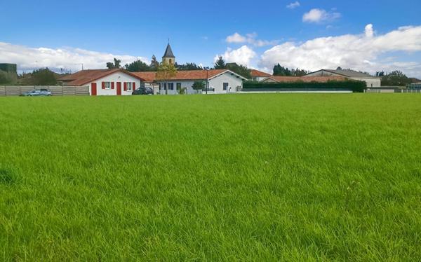 Terrain constructible 11000 m2