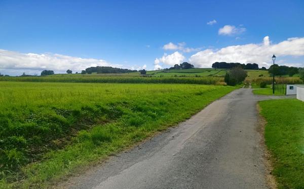 Terrain constructible 11000 m2