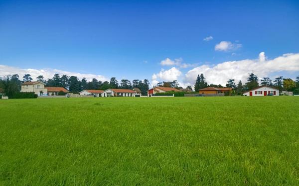 Terrain constructible 11000 m2