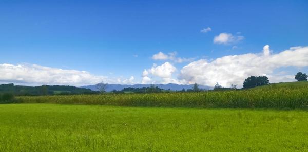 Terrain constructible 11000 m2