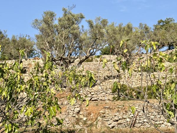 En exclusivité ! A l'entrée de Solliès-Toucas, découvrez cette villa de caractère à l'architecture singulière, construite en traditionnel, qui se distingue immédiatement par ses volumes, son originalité et son environnement. 
Développant 171 M² habitables sur 700 m² de terrain en restanques, elle bénéficie d'un cadre verdoyant et d'une belle vue sur les collines.
Son véritable atout: 2 espaces de vie communicants.

Au rez-de-chaussée : un espace de vie de 67 m² aménagé en T2, idéal pour accueillir famille ou proches, envisager un logement indépendant ou encore travailler à domicile.
A l'étage: un T4 en duplex de 104 M², une belle entrée dessert une agréable pièce de vie baignée de lumière naturelle, une grande cuisine indépendante de 15 M² , une chambre avec placard, salle de bains avec double vasques, et wc indépendant.
A l'étage supérieur: deux chambres avec placard, salle d'eau avec wc

A l'extérieur: Vous profiterez de 2 magnifiques terrasses de 25 M² et 30 M² ainsi que d'une piscine traditionnelle de 4.5 m X 7 m, parfaitement intégrée au jardin.

Les points forts: DPE C + climatisation réversible de chaque pièce de vie, 2 cheminées avec insert, forage, portail électrique, exposition sud ouest. local technique avec accès vide sanitaire pour du stockage.

La propriété se situe dans un secteur identifié au PLU comme "ensemble patrimonial à préserver et à mettre en valeur", renforçant le caractère remarquable de son environnement.

Une maison atypique, familiale et évolutive, qui séduira ceux qui recherchent bien plus qu'une maison classique.

Un bien rare sur le secteur à proximité immédiate des accès et des commodités. Une visite suffit pour comprendre ce qui la rend unique.