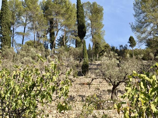 En exclusivité ! A l'entrée de Solliès-Toucas, découvrez cette villa de caractère à l'architecture singulière, construite en traditionnel, qui se distingue immédiatement par ses volumes, son originalité et son environnement. 
Développant 171 M² habitables sur 700 m² de terrain en restanques, elle bénéficie d'un cadre verdoyant et d'une belle vue sur les collines.
Son véritable atout: 2 espaces de vie communicants.

Au rez-de-chaussée : un espace de vie de 67 m² aménagé en T2, idéal pour accueillir famille ou proches, envisager un logement indépendant ou encore travailler à domicile.
A l'étage: un T4 en duplex de 104 M², une belle entrée dessert une agréable pièce de vie baignée de lumière naturelle, une grande cuisine indépendante de 15 M² , une chambre avec placard, salle de bains avec double vasques, et wc indépendant.
A l'étage supérieur: deux chambres avec placard, salle d'eau avec wc

A l'extérieur: Vous profiterez de 2 magnifiques terrasses de 25 M² et 30 M² ainsi que d'une piscine traditionnelle de 4.5 m X 7 m, parfaitement intégrée au jardin.

Les points forts: DPE C + climatisation réversible de chaque pièce de vie, 2 cheminées avec insert, forage, portail électrique, exposition sud ouest. local technique avec accès vide sanitaire pour du stockage.

La propriété se situe dans un secteur identifié au PLU comme "ensemble patrimonial à préserver et à mettre en valeur", renforçant le caractère remarquable de son environnement.

Une maison atypique, familiale et évolutive, qui séduira ceux qui recherchent bien plus qu'une maison classique.

Un bien rare sur le secteur à proximité immédiate des accès et des commodités. Une visite suffit pour comprendre ce qui la rend unique.