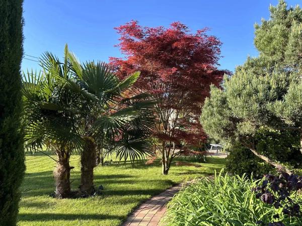 Maison de prestige à La Wantzenau – Emplacement unique, en impasse