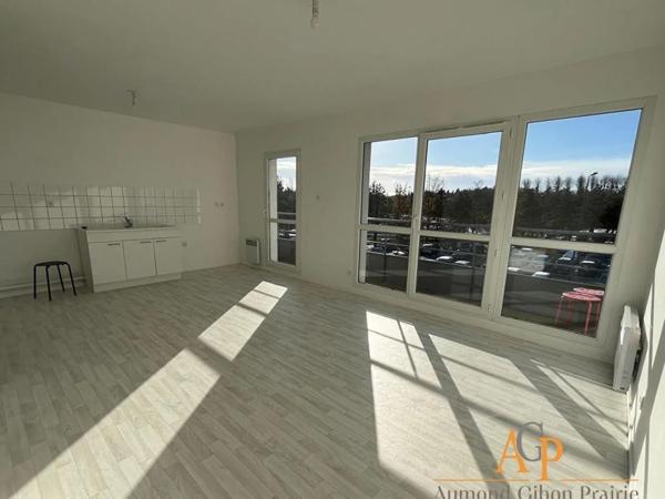 Appartement à louer à Ifs (14123)