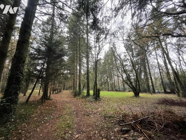 GUIDEL - A VENDRE  grand terrain non constructible arboré , sans nuisance
