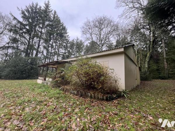 GUIDEL - A VENDRE  grand terrain non constructible arboré , sans nuisance