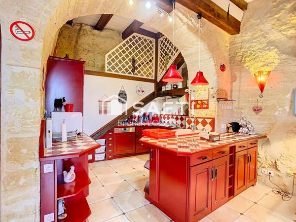 Chinon – Propriété avec gîte