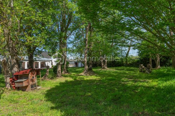 ✨ EXCLUSIVITE  AUX PORTES DE PAU ✨

Un lieu rare chargé d’histoire…

 Cet ancien moulin du XIXe siècle entièrement rénové développe environ 284 m² habitables au cœur d’un environnement privilégié de plus de 15 500 m² de parcelles.

Entre charme authentique et confort moderne, cette propriété unique séduira les amoureux de caractère et de nature.

Vous y découvrirez :
• une vaste habitation rénovée de 4 chambres
• une salle de bain et une salle d’eau
• deux WC
• une cuisine chaleureuse
. un vaste séjour de 78 m2 avec une superbe cheminée 
• trois  dressing
.une mezzanine de 18 m2 pouvant être aménagée comme une 5 -ème chambre 
• une belle buanderie avec coin cuisine aménagée 
• un grenier
• une cave voûtée en sous-sol, ancien passage d’eau à température constante de 17°

À l’extérieur :
• une superbe terrasse couverte d’environ 40 m²
• une grande piscine 
• une dépendance 
• un grand garage double chauffé et climatisé

Un bien d’exception mêlant cachet, volumes et sérénité, à seulement quelques minutes de Pau.

IDEAL POUR CHEVAUX 

📩 Plus d’informations et vidéo pour  dossier sérieux