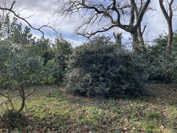 Terrain à vendre |  Audenge |  516 m²