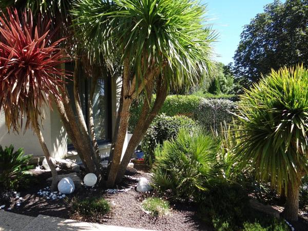 SAINT-AVE -MAISON COUP DE COEUR-JARDIN