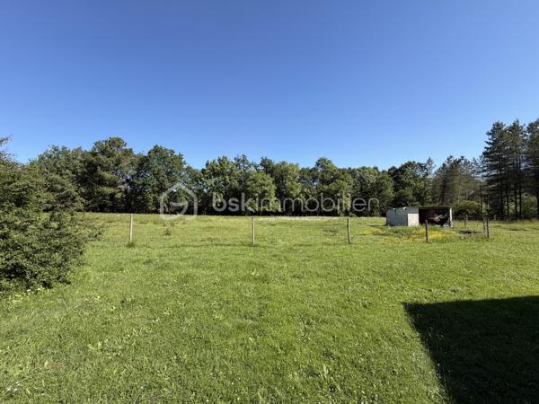 Propriété de caractère – Corps de ferme en pierre, très rare dans le secteur, idéalement située entre Marmande et Casteljaloux, au cœur d’un environnement champêtre préservé.
Cette authentique maison en pierre développe 180 m² habitables et s’accompagne de 120 m² de dépendances, le tout implanté sur un hectare de très joli parc arboré.
La charpente a été rénovée , offrant une base solide pour un projet de rénovation de qualité.
Volumes généreux, cachet de l’ancien et cadre paisible font de ce bien une opportunité idéale pour une résidence de prestige, une maison de famille, un projet de gîtes, équestre ou de bien-être.
Un bien rare au fort potentiel, à découvrir sans tarder.