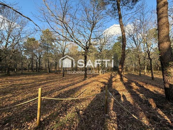 Maison 240 m2 avec dépendances