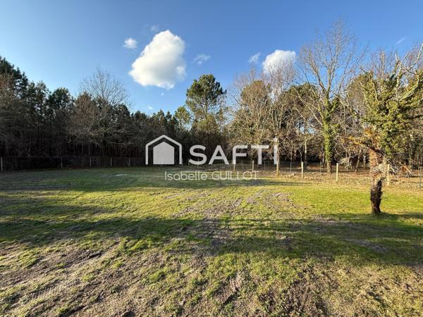 Maison 240 m2 avec dépendances