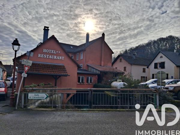 Immeuble à vendre 627 m² Bourbach-le-Bas