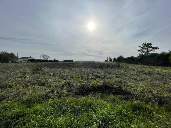 Terrain 3 820 m² pour les amoureux de la nature