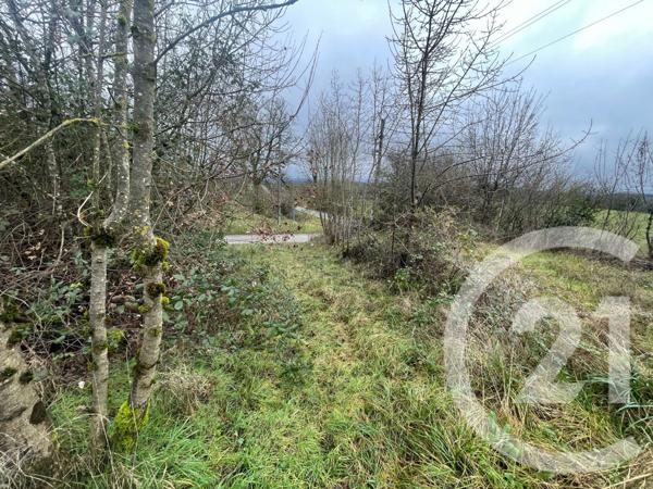 Maison à vendre  10 pièces - 232,73 m2 ST ANTONIN NOBLE VAL - 82