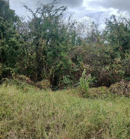 TERRAIN RARE A VISITER